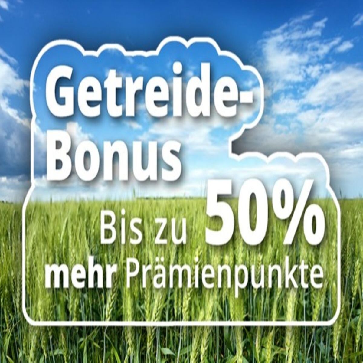 Mit Syngenta Produkten <span class="accent">erfolgreich Getreide anbauen.</span>